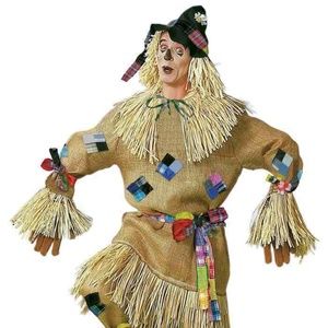 Scarecrow Straw Halloween Adult Costume VINTAGE